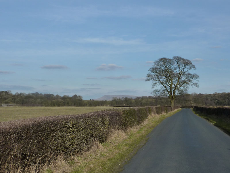 Ribchester View